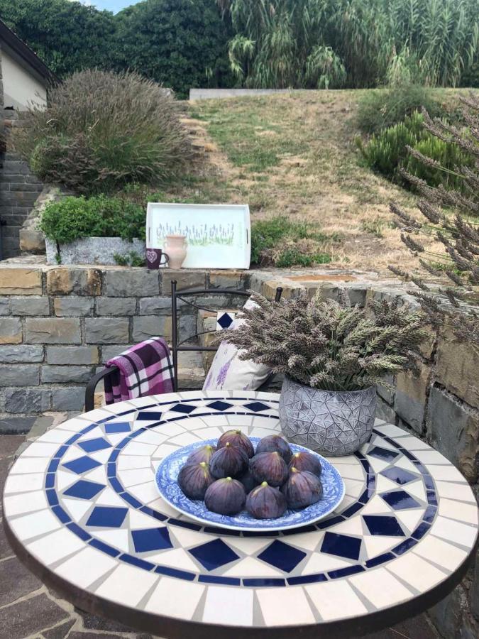 Fig&Lavender Apartment Šmarje Εξωτερικό φωτογραφία